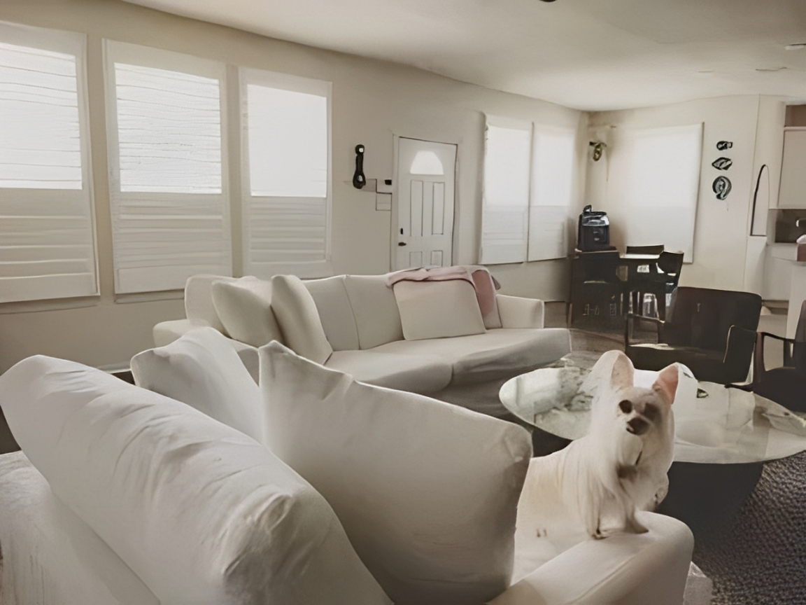 Bright room with modern decor and dog